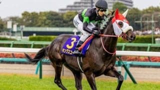 【京都新聞杯枠順確定】キングスコールは1枠1番、エムズは5枠5番