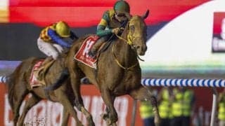 【先週のJRA抹消馬】歴代賞金王ウシュバテソーロ、22年兵庫CS覇者ブリッツファングなど