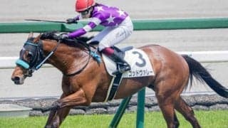 馬主は福岡ソフトバンクホークス・柳田悠岐選手 ゴッドヴァレーが2勝目なるか