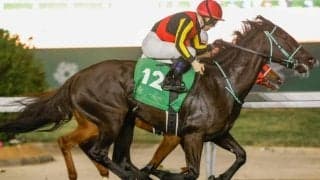 【AI予想・ヴィクトリアM】コース替わりで先週の傾向は通用せず!? 人工知能の本命は牝馬トップクラスの能力馬