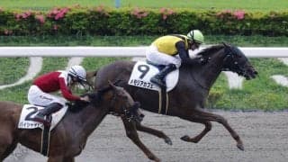 【東京6R】単勝1.5倍メモリアカフェが人気に応える