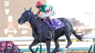 【先週のJRA抹消馬】21年ホープフルS覇者キラーアビリティ、芝短距離で活躍した古豪トゥラヴェスーラなど