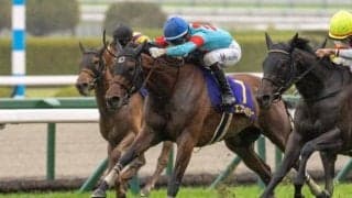 【オークス枠順確定】エンブロイダリーは5枠9番、アルマヴェローチェは1枠1番