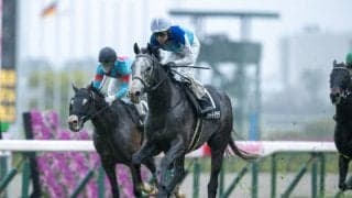 【目黒記念登録馬】アドマイヤテラなど21頭