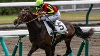 佐々木大輔騎手がJRA史上最年少ダービージョッキーへ 初騎乗Vで日本人初の快挙なるか