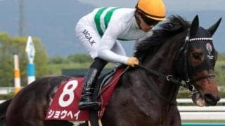 【日本ダービー】C.ルメール騎手が8年ぶりの2勝目へ ショウヘイで参戦