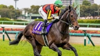 【日本ダービー枠順確定】ミュージアムマイルは4枠7番、クロワデュノールは7枠13番