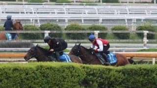 ヨーホーレイク、宝塚記念2週前追い切り速報/栗東トレセンニュース