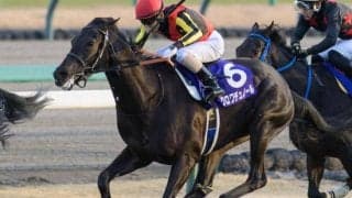 【日本ダービー】近5年で勝ち馬80％のトレンド 今年の母父が海外繋養種牡馬の馬は？