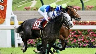【目黒記念】武豊アドマイヤテラが重賞初制覇…白毛のハヤヤッコは競走中止