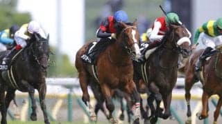 【むらさき賞】メリオーレムが人気に応えてオープン入り