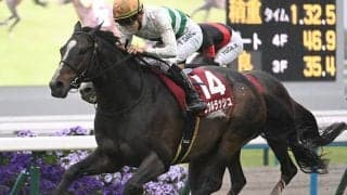 春の最強マイラー決定戦・安田記念 新馬戦もスタート/今週の競馬界の見どころ
