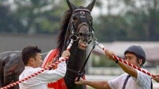 【安田記念】武豊騎手が16年ぶり4勝目へ 富士S覇者のジュンブロッサムで参戦