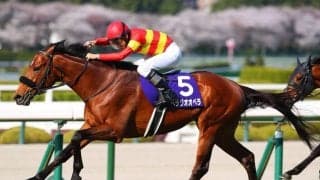 【宝塚記念登録馬】ファン投票1位ベラジオオペラなど18頭