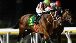 【浦和・さきたま杯選定馬】かしわ記念連覇のシャマル、前哨戦を制したティントレットなど12頭