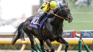 近年の強豪馬に欠かせぬ「バーナーディニ」 血統表でよく見る名馬を深堀り