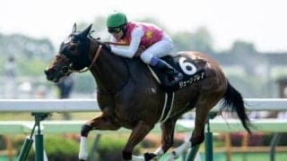 【函館SS予想】北海道シリーズの開幕告げる電撃戦 持続力タイプが有利な舞台設定