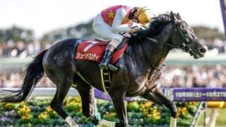 【東京JS予想】ジューンベロシティの3連覇なるか ポイントは14の障害よりも400mの直線勝負