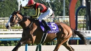 【しらさぎS想定騎手】チェルヴィニアはC.ルメール騎手、レーベンスティールは川田将雅騎手