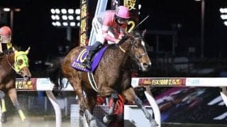 ミリアッドラヴの競走馬登録抹消…函館SSで競走中止