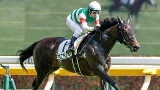 【府中牝馬S出走馬・騎手確定】カニキュル＆戸崎圭太騎手、セキトバイースト＆浜中俊騎手など14頭