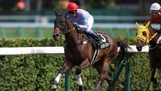 武豊騎手 今週の騎乗馬…函館で14鞍