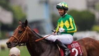 【英クイーンエリザベス2世ジュビリーC】サトノレーヴはモレイラ騎手とのコンビで大外枠から挑戦