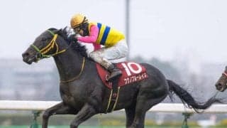 【ラジオNIKKEI賞】フクノブルーレイク、センツブラッドらが登録