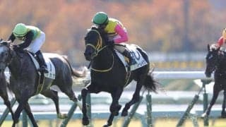 【ラジオNIKKEI賞登録馬】フクノブルーレイクなど14頭