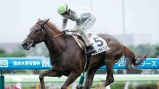 【函館記念予想】サマー2000シリーズの幕開け飾る一戦 コーナーをロスなく回る器用さが求められる
