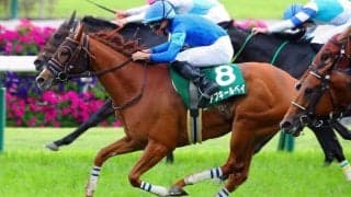 【北九州記念登録馬】アブキールベイなど22頭