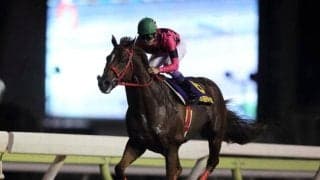 快足スマートファルコンの「9馬身差V」「2分1秒1」が燦然と輝く 帝王賞の勝ち時計ランキング