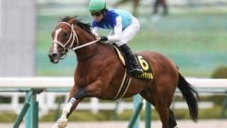 【先週のJRA抹消馬】22年中山記念3着のアドマイヤハダル、重賞馬ココロノアイの仔スナイチゴールドなど