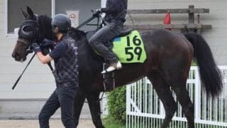 母はオークス馬シンハライト 土曜福島で初陣迎えるアランカール/関西馬メイクデビュー情報