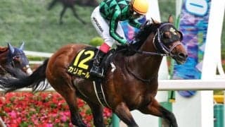 【北九州記念】カリボールにかかるアドマイヤマックス以来20年ぶりの「珍偉業」とは？