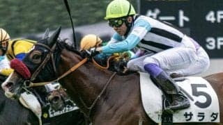 日曜小倉にサラダが出走 「サラダ記念日」に勝利なるか