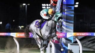 【スパーキングレディーC】大井のフェブランシェが中央勢撃破