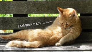 昭和の働き方がトンデモに思えてきた今日この頃・・・