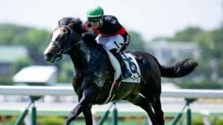 【函館5R新馬戦結果】ブリックスアンドモルタル産駒ハイヤーマークが突き抜けてV