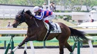 【函館2歳S枠順確定】カイショーは2枠2番、ブラックチャリスは6枠8番
