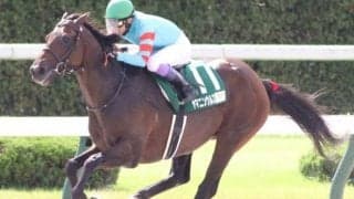 【東海S】武豊騎手が6年ぶり3勝目なるか ヤマニンウルスで参戦