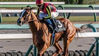 デビュー2連勝中のデンクマール 約7カ月ぶりの復帰戦Vなるか