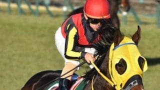 半兄はGI馬ピクシーナイト フェーングロッテンが障害戦初Vなるか