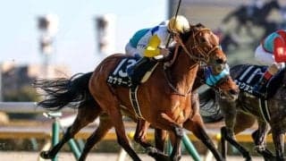 【関屋記念前日オッズ】カナテープが4.5倍で1番人気