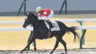 【東海S予想】舞台変更で逃げ、先行馬が圧倒的に有利に