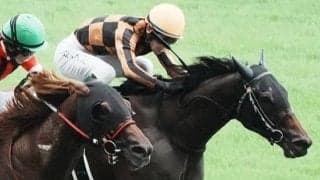 【アイビスSD登録馬】連覇かかるモズメイメイなど21頭