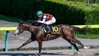 ケンシンコウの新潟重賞制覇から5年 7番人気で勝利した20年レパードS