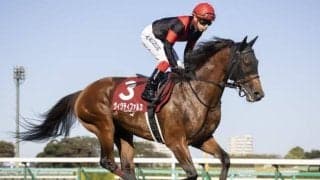 21年スプリングS覇者ヴィクティファルスが登録抹消 今後は大井競馬に移籍する予定