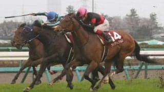 ヴィクティファルスの競走馬登録抹消…地方へ移籍