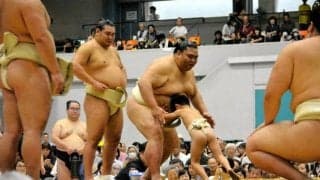 大相撲夏巡業「古河場所」にファン沸く　茨城ゆかり両横綱そろい踏み